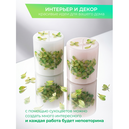 Купить сухоцветы для дизайна ногтей декора и поделок LUXE 03S с доставкой по всей России