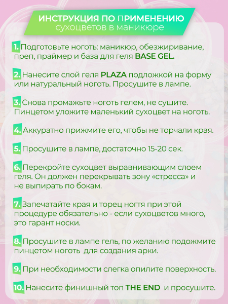 Купить сухоцветы для дизайна ногтей декора и поделок LUXE 03S с доставкой по всей России