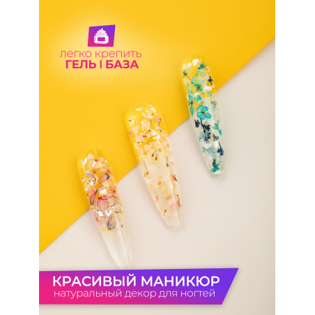 Купить сухоцветы для дизайна ногтей декора и поделок LUXE 05S с доставкой по всей России