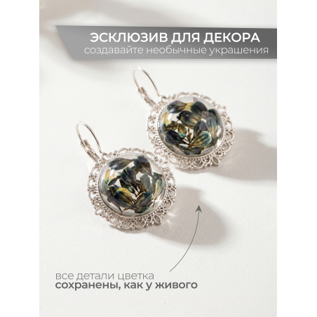 Купить сухоцветы для дизайна ногтей декора и поделок LUXE 06S с доставкой по всей России