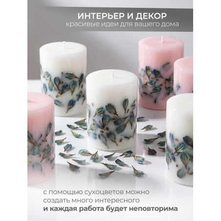 Купить сухоцветы для дизайна ногтей декора и поделок LUXE 06S с доставкой по всей России