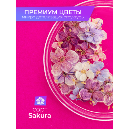 Купить сухоцветы для дизайна ногтей декора и поделок LUXE 07S с доставкой по всей России