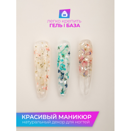 Купить сухоцветы для дизайна ногтей декора и поделок LUXE 09S с доставкой по всей России