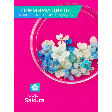 Купить сухоцветы для дизайна ногтей декора и поделок LUXE 10S с доставкой по всей России