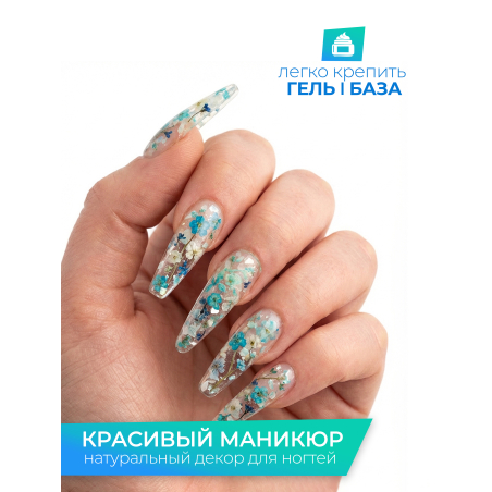 Купить сухоцветы для дизайна ногтей декора и поделок LUXE 10S с доставкой по всей России