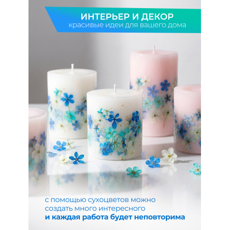Купить сухоцветы для дизайна ногтей декора и поделок LUXE 10S с доставкой по всей России