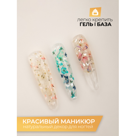 Купить сухоцветы для дизайна ногтей декора и поделок LUXE 11S с доставкой по всей России