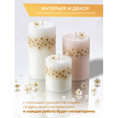 Купить сухоцветы для дизайна ногтей декора и поделок LUXE 11S с доставкой по всей России