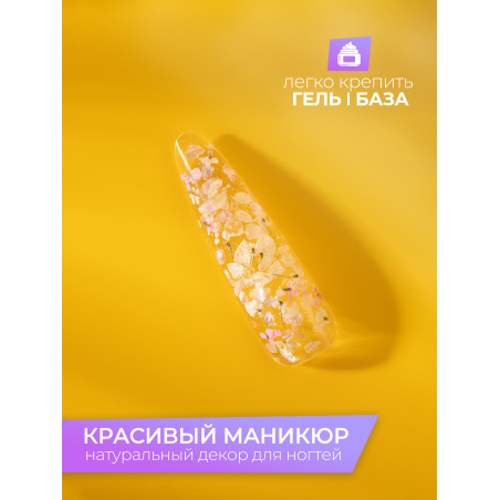 Купить сухоцветы для дизайна ногтей декора и поделок LUXE 14S с доставкой по всей России