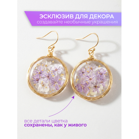 Купить сухоцветы для дизайна ногтей декора и поделок LUXE 14S с доставкой по всей России