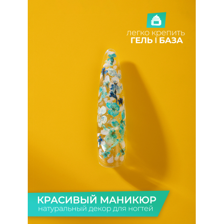 Купить сухоцветы для дизайна ногтей декора и поделок LUXE 15S с доставкой по всей России