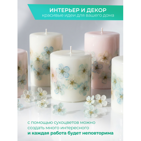 Купить сухоцветы для дизайна ногтей декора и поделок LUXE 15S с доставкой по всей России