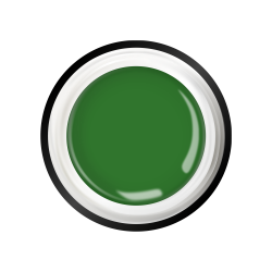 Гель-краска для ногтей с липким слоем GO-06 Green