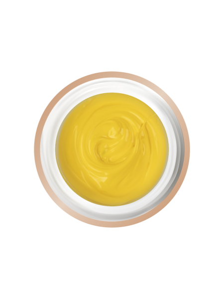 Купить набор гель-красок для стемпинга на ногтях STAMP ART