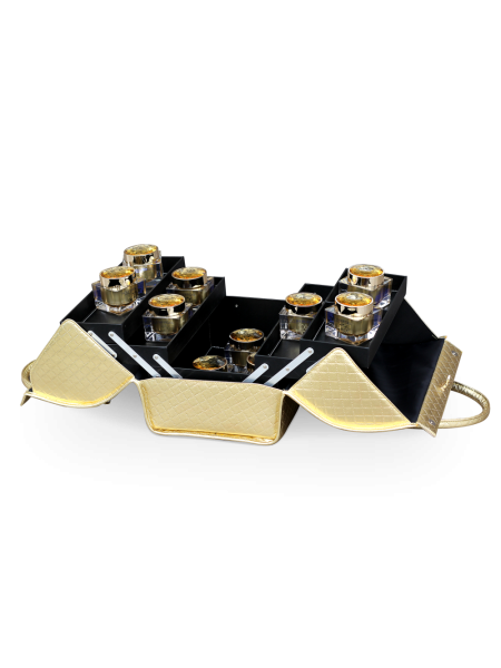 Купить саквояж-чемодан для мастера маникюра Nail Club