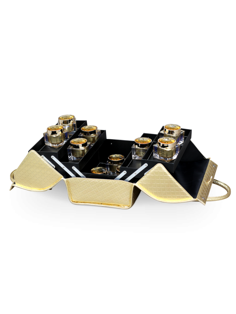 Купить саквояж-чемодан для мастера маникюра Nail Club