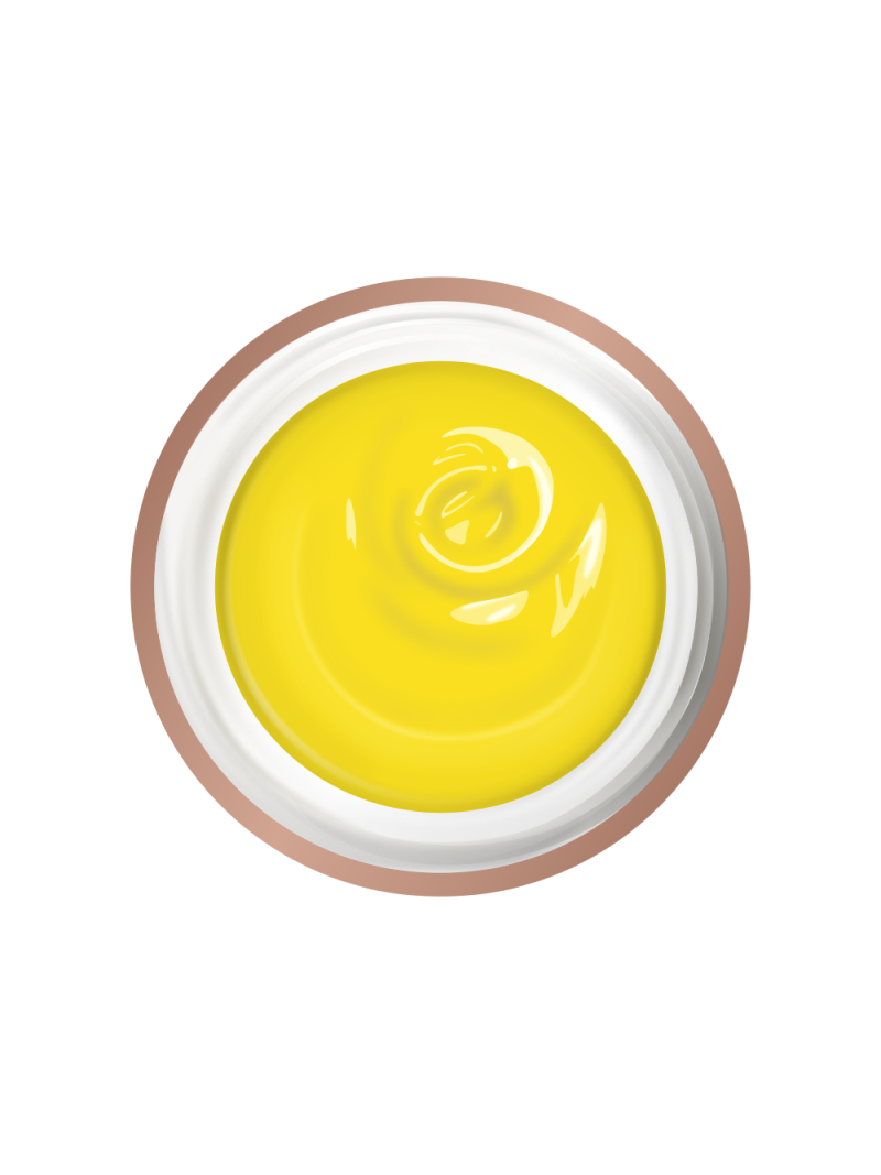 Купить гель-краску для объёмных 3D элементов на ногтях BR-05 Schonbrunn